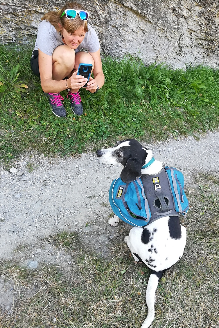 Siebrig Scheeres fotografiert ihren Hund Max. Er trägt einen eigenen Rucksack.